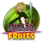 Ninja Fruits screenshot